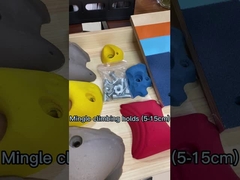 カスタマイズされた屋外の上昇の石の壁の防水屋内上昇の壁パネル