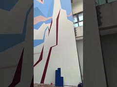 大人の人工的な専門の上昇の壁の屋外の運動場の岩登り